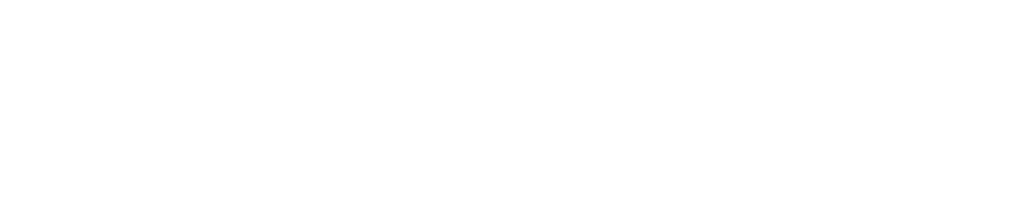 white n2 company logo